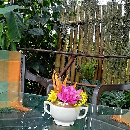 Eco Hostal Casa La Juana Bed and Breakfast Medellín Eksteriør billede