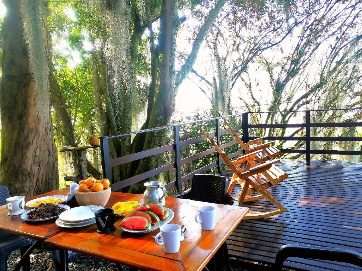 Eco Hostal Casa La Juana Bed and Breakfast Medellín Eksteriør billede