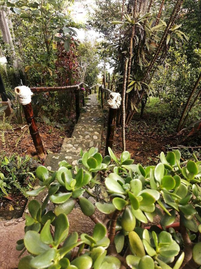 Eco Hostal Casa La Juana Bed and Breakfast Medellín Eksteriør billede